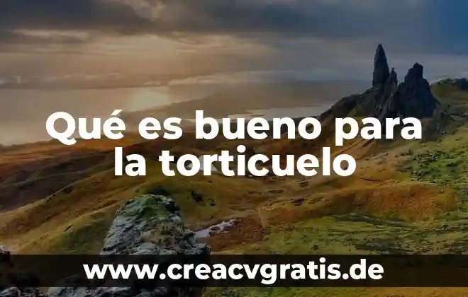 Que es bueno para quitar la carnosidad del ojo 8 Qué es bueno para la torticuelo