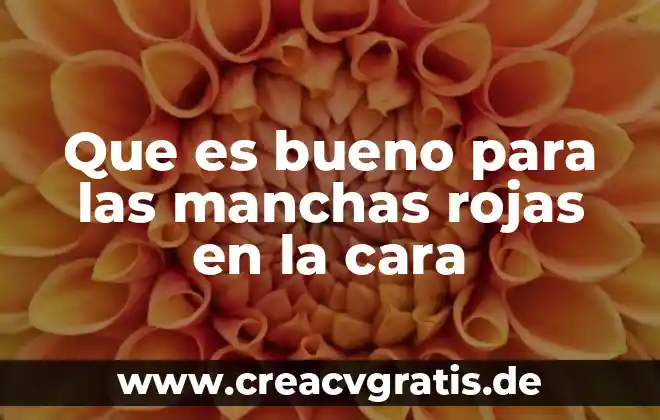 Libro que es la competitividad patricia rojas 3 Que es bueno para las manchas rojas en la cara