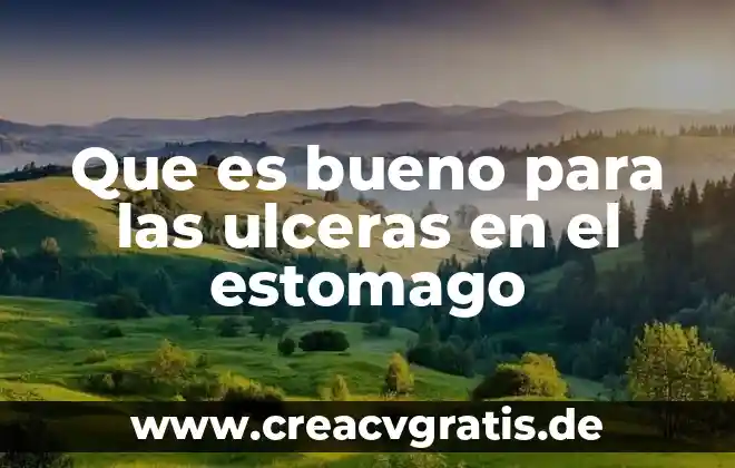 Estómago significado etimológico y que es 6 Que es bueno para las ulceras en el estomago