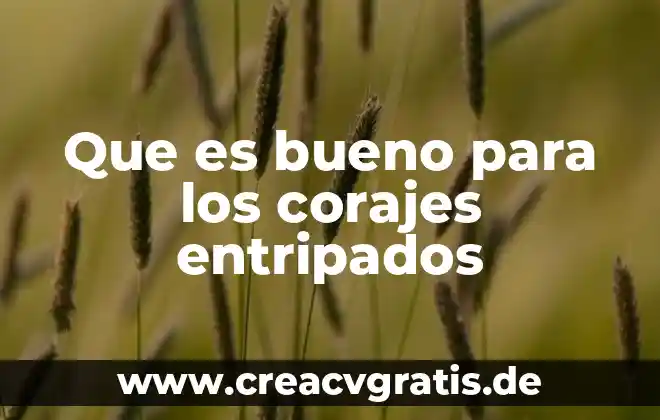 Para que es bueno el plidan compuesto nf 3 Que es bueno para los corajes entripados