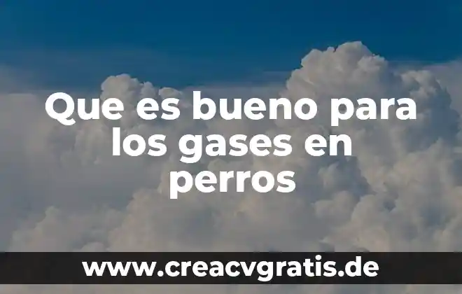 Ladran los perros uno sabe que es señal jodida 7 Que es bueno para los gases en perros