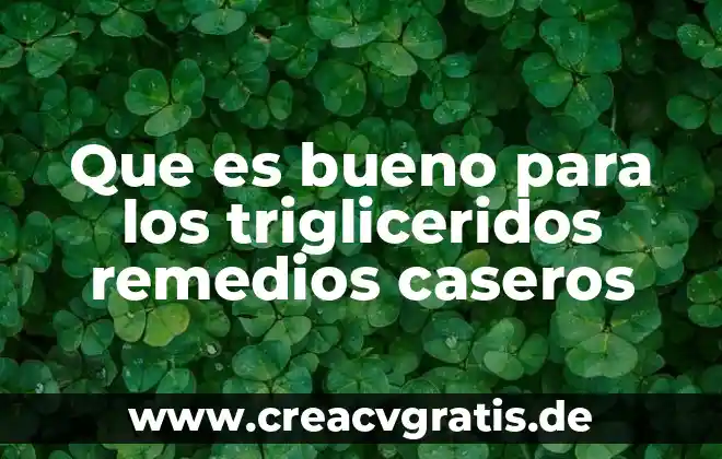 Que es bueno para la circulacion remedios caseros 3 Que es bueno para los trigliceridos remedios caseros