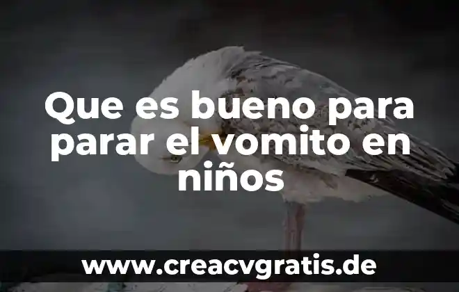 Qué es bueno para quemaduras con agua hervida 5 Que es bueno para parar el vomito en niños