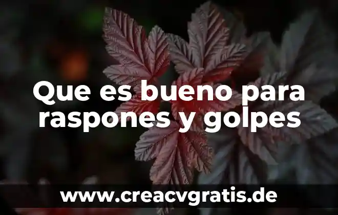 Que es bueno para deshinchar los pies en el embarazo 8 Que es bueno para raspones y golpes