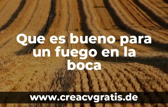 Que es lo que encontramos al abrir la boca funciones 4 Que es bueno para un fuego en la boca