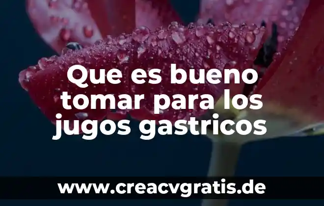 Conclusion de que es ser bueno ciudadanos 6 Que es bueno tomar para los jugos gastricos