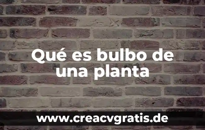Qué es el sauce planta 4 Qué es bulbo de una planta