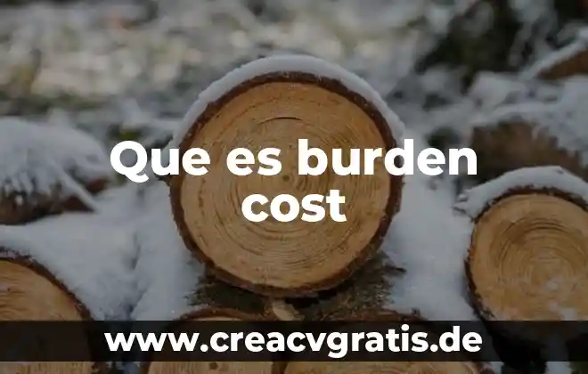 Switching cost que es 7 Que es burden cost