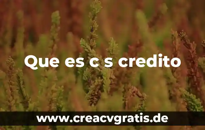 Concepto que es la enfermedad 6 Que es c s credito