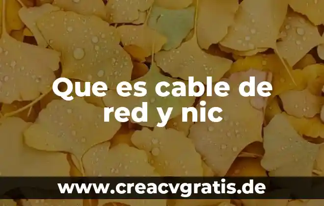 Que es nic noc y nanda en enfermeria 7 Que es cable de red y nic