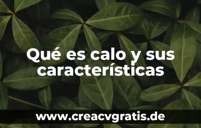 Que es una epopeya caracteristicas 7 Qué es calo y sus características