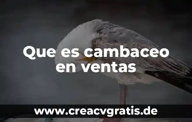 Que es manual de ventas 8 Que es cambaceo en ventas