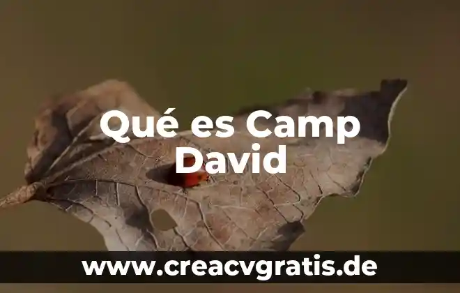 Que es significa el modelo camp 3 Qué es Camp David