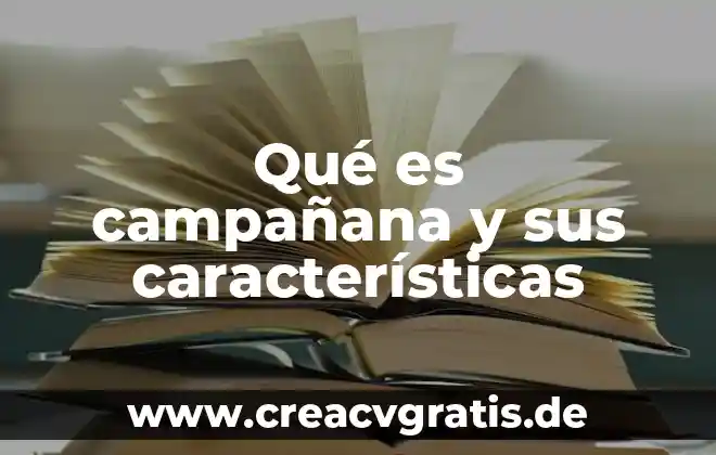 Que significa que es un teatro y sus caracteristicas 6 Qué es campañana y sus características