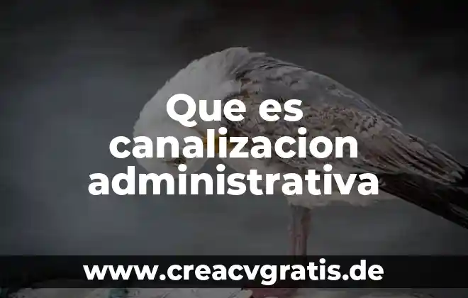 Que es una meta para un administrativa 6 Que es canalizacion administrativa