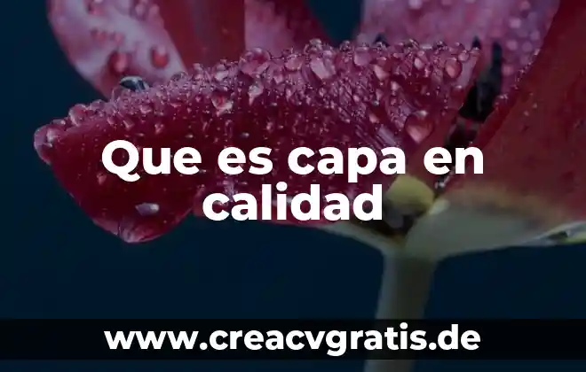 Qué es tipos de inmuebles 7 Que es capa en calidad
