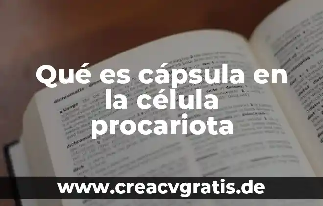 Que es celula vegetal y animal 8 Qué es cápsula en la célula procariota