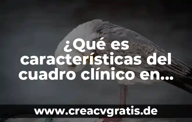 Qué es cuadro de búsqueda en informática 8 ¿Qué es características del cuadro clínico en psicología?