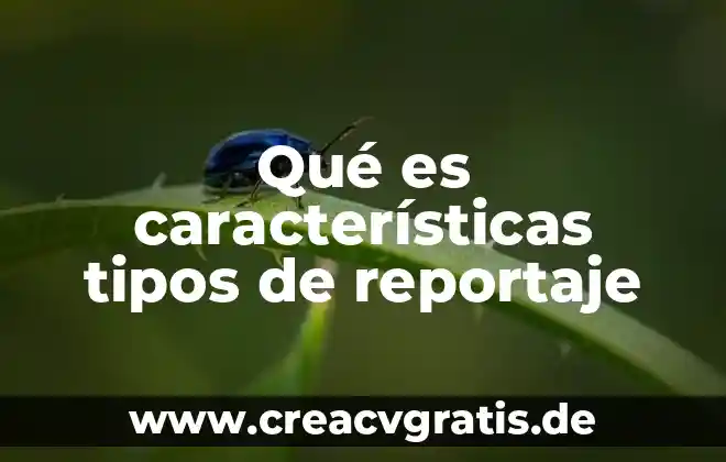 Qué es un software tipos y clasificaciones 7 Qué es características tipos de reportaje