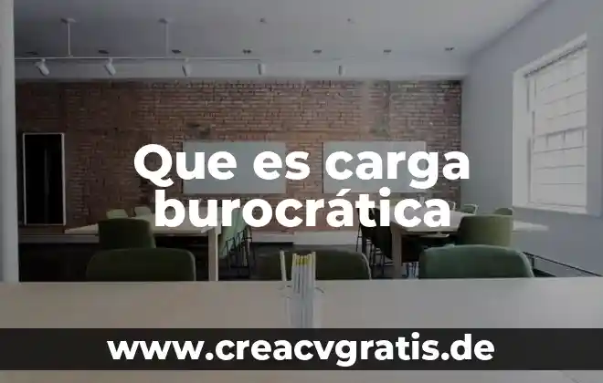 Qué es la psicología psicoterápica y psicoanalista 3 Que es carga burocrática