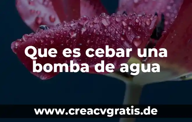 Para que es importante el agua en la vida 7 Que es cebar una bomba de agua