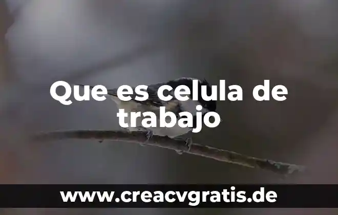 Que es celula vegetal y animal 5 Que es celula de trabajo