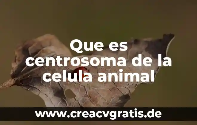 Volumen sistólico que es 5 Que es centrosoma de la celula animal