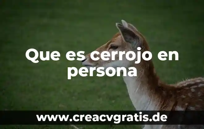 Que es ser una persona desatenta 8 Que es cerrojo en persona