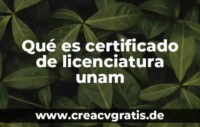 Que es el razonamiento por autores de la unam 4 Qué es certificado de licenciatura unam