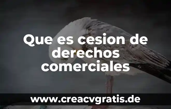 Que es una cesion de accion en derecho civil 8 Que es cesion de derechos comerciales