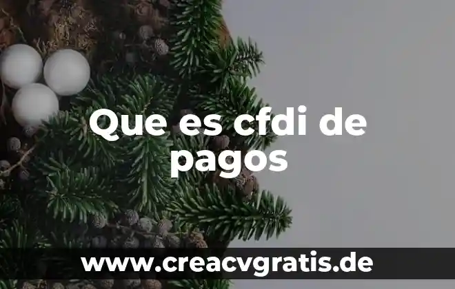 Que significa stp que es en pagos 8 Que es cfdi de pagos