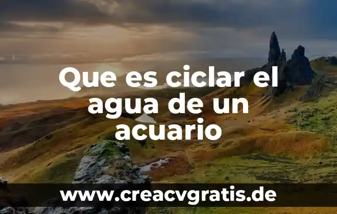 ¿Qué es el agua potable y el cloro? 7 Que es ciclar el agua de un acuario