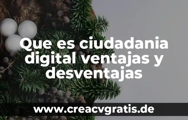 Qué es interactividad en un texto digital 3 Que es ciudadania digital ventajas y desventajas