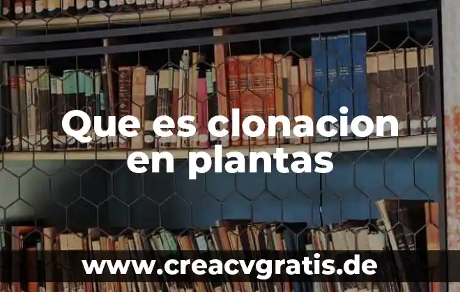 Por que es importante el sol en las plantas 3 Que es clonacion en plantas