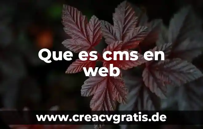 Qué es el número CIC de la credencial de elector 3 Que es cms en web