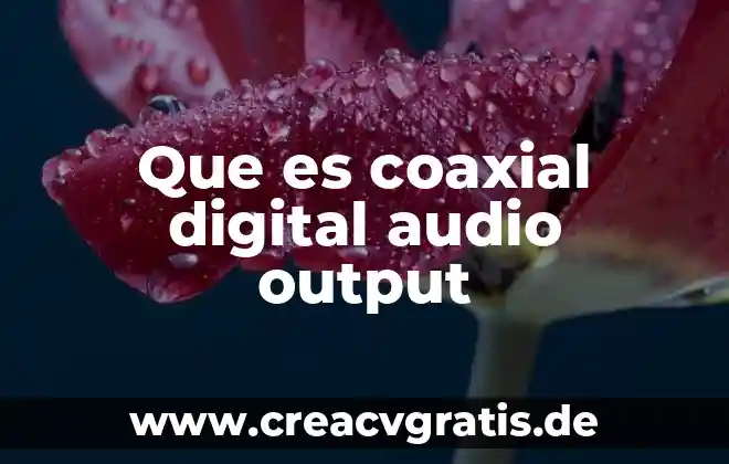 Qué es estudio y formatos de audio 7 Que es coaxial digital audio output