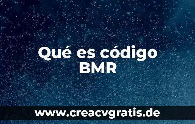 ¿Qué es el código binario con referencia? 5 Qué es código BMR