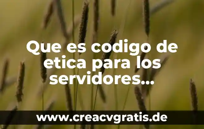 Que es analizar y evaluar programas publicos 7 Que es codigo de etica para los servidores publicos