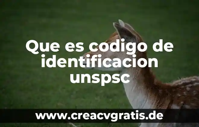 Qué es el número nacional de identificación 4 Que es codigo de identificacion unspsc
