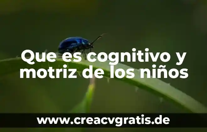 Que es un mapa cognitivo de sol 5 Que es cognitivo y motriz de los niños