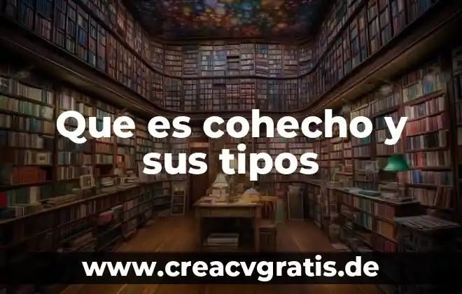 Qué es flebitis tipos y grados de clasificación 5 Que es cohecho y sus tipos