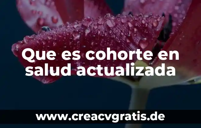 Que es la salud y que intervienen en los adolescentes 6 Que es cohorte en salud actualizada