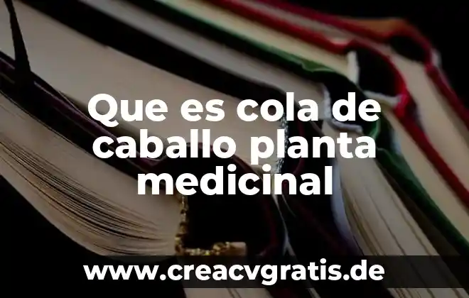 Que es un empalme electrico cola de rata 3 Que es cola de caballo planta medicinal