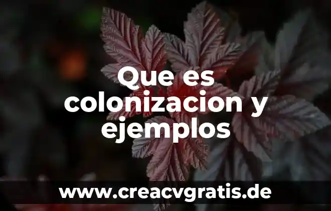 Que es exilio significado 4 Que es colonizacion y ejemplos