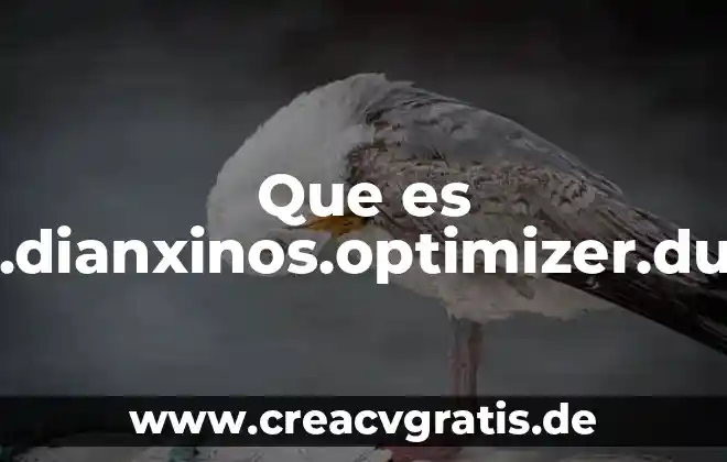 Que es una antologia y que parte se en encuentra 6 Que es com.dianxinos.optimizer.duplay