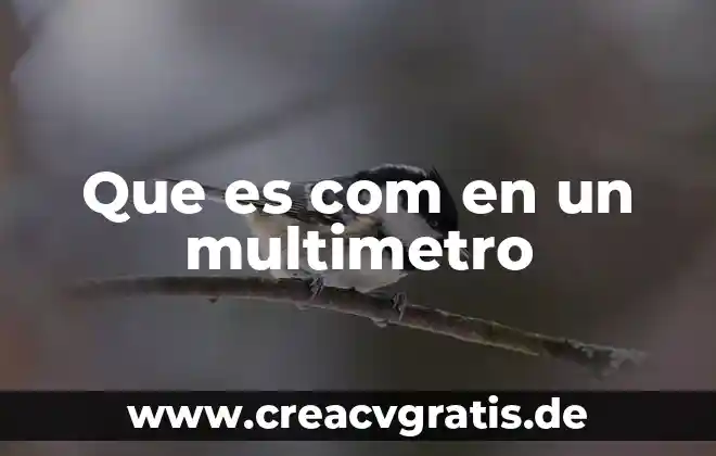 Que es beta com mx 4 Que es com en un multimetro