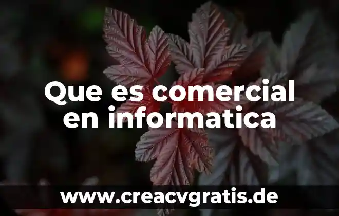Que es un símbolo comercial 3 Que es comercial en informatica