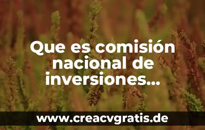 Qué es la calificación ley de inversión extranjera en México 4 Que es comisión nacional de inversiones extranjera