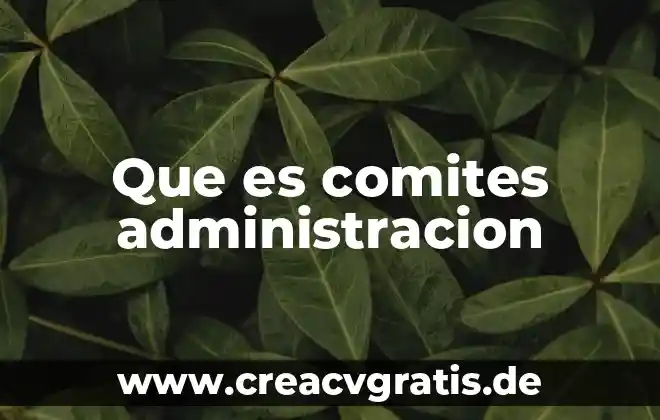 Administracion industrial que es 4 Que es comites administracion