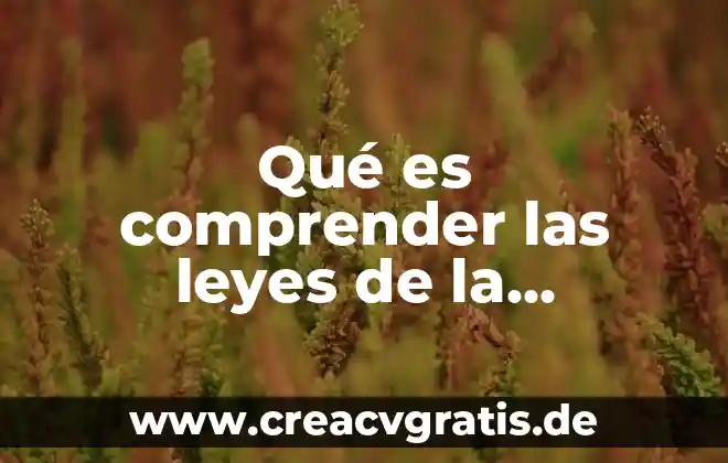 Qué es un contacto trifásico símbolo de electricidad 7 Qué es comprender las leyes de la electricidad